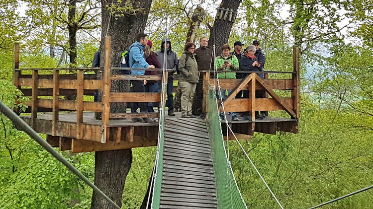 Die Mitglieder des Ausschusses für Umwelt und Verbraucherschutz verschafften sich im Bärenreservat Zarnesti einen Überblick aus sicherer Höhe.