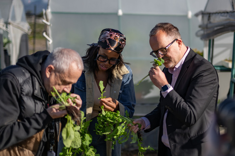 Community Garden Projekt der Hope Cape Town Stiftung. | Joerg G. Fieback | zebra group