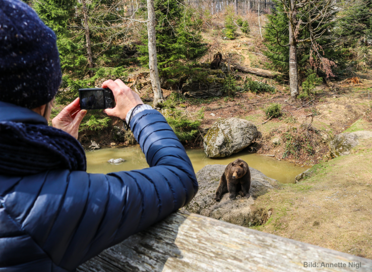 Zusammenarbeit in den grenzüberschreitenden Nationalparkregionen. | Foto: Annette Nigl