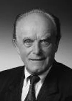 Abgeordneter Diethei, Paul